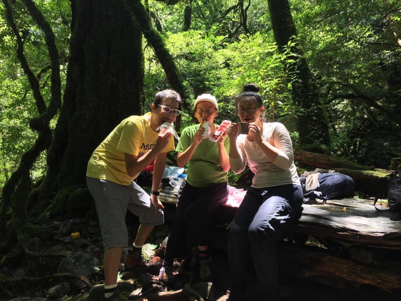 Yakushima Youth Hostel Exterior photo